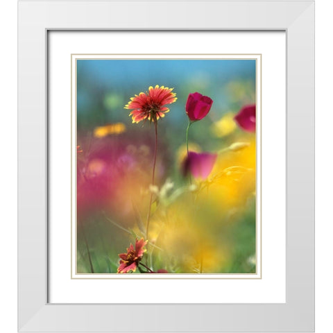 Indian Blanket and Wine-cups White Modern Wood Framed Art Print with Double Matting by Fitzharris, Tim