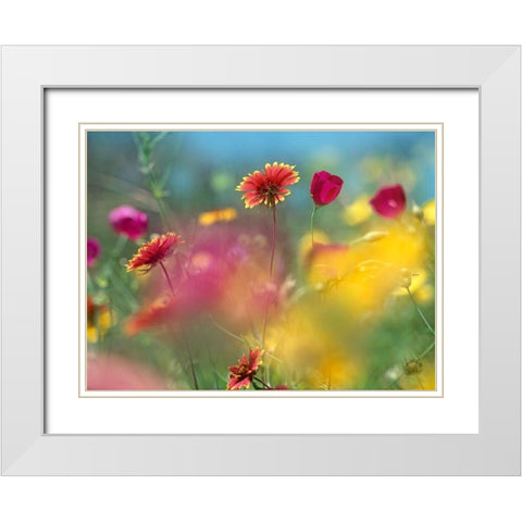 Indian Blanket and Wine-cups White Modern Wood Framed Art Print with Double Matting by Fitzharris, Tim