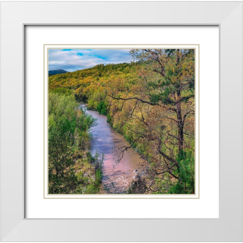 Mulberry National Wild and Scenic River White Modern Wood Framed Art Print with Double Matting by Fitzharris, Tim