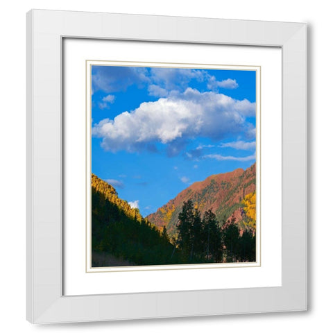 White River National Forest White Modern Wood Framed Art Print with Double Matting by Fitzharris, Tim