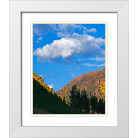 White River National Forest White Modern Wood Framed Art Print with Double Matting by Fitzharris, Tim