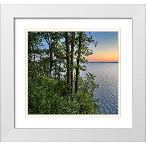 Oak Trees at Eisenhower Lake White Modern Wood Framed Art Print with Double Matting by Fitzharris, Tim