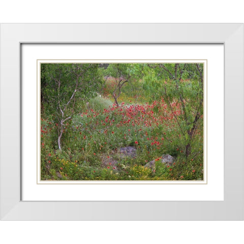 Wildflowers along White Creek White Modern Wood Framed Art Print with Double Matting by Fitzharris, Tim