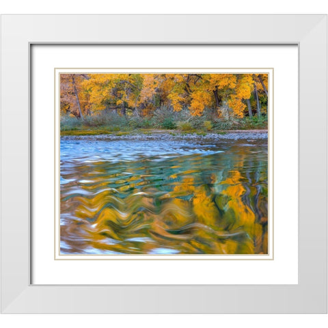 Ripples in the Rio Grande White Modern Wood Framed Art Print with Double Matting by Fitzharris, Tim