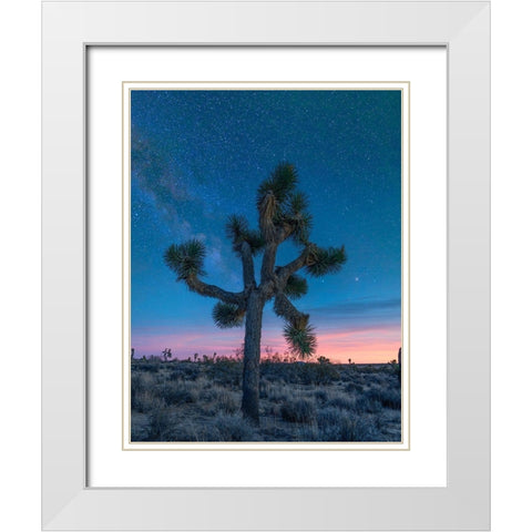 Milky Way at Joshua Tree National Park White Modern Wood Framed Art Print with Double Matting by Fitzharris, Tim