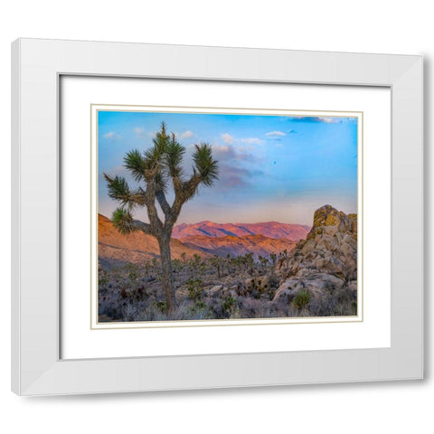 Joshua Trees at Lost Horse Valley White Modern Wood Framed Art Print with Double Matting by Fitzharris, Tim