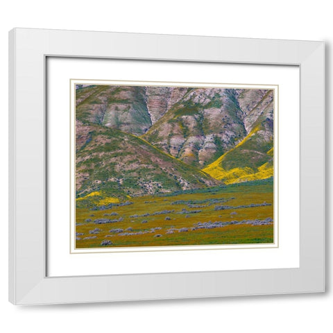 Wildflower Bloom  White Modern Wood Framed Art Print with Double Matting by Fitzharris, Tim