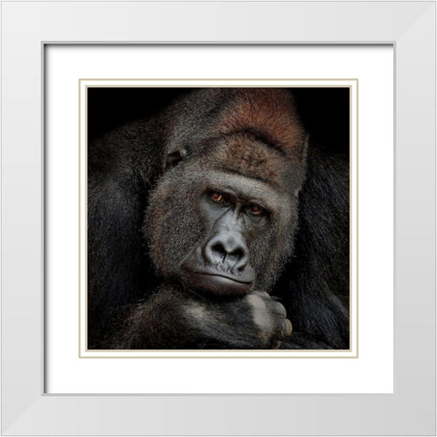 ONE MOMENT IN CONTACT White Modern Wood Framed Art Print with Double Matting by Wenner-Braun, Antje