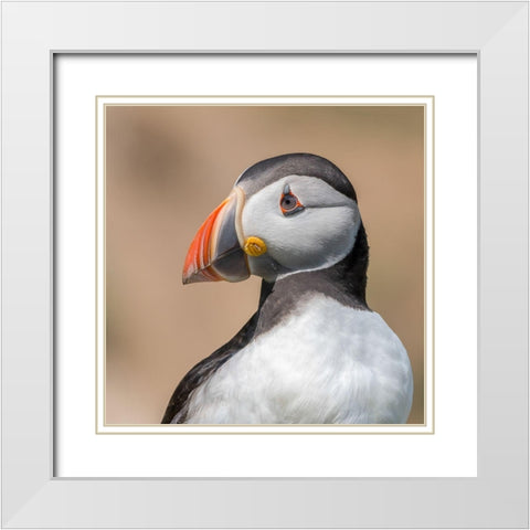 Portrait White Modern Wood Framed Art Print with Double Matting by Galus, Piotr