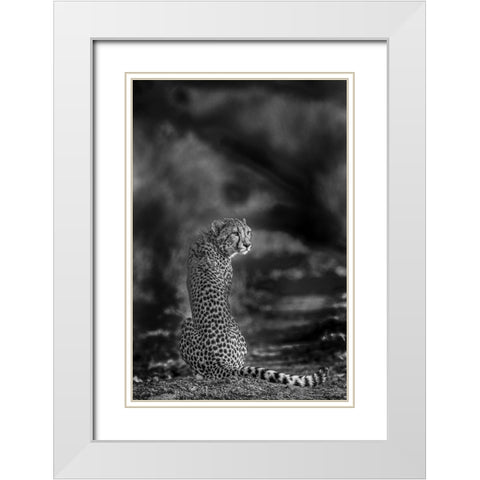 The look back White Modern Wood Framed Art Print with Double Matting by Marx, Jaco