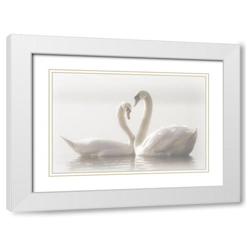Forever White Modern Wood Framed Art Print with Double Matting by Schwager, Monika