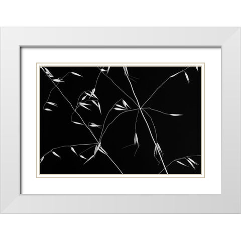 Crossed Lines White Modern Wood Framed Art Print with Double Matting by Azevedo, Olavo