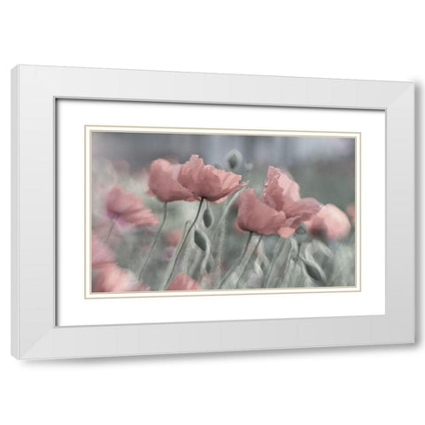 Softly White Modern Wood Framed Art Print with Double Matting by Worner, Anne