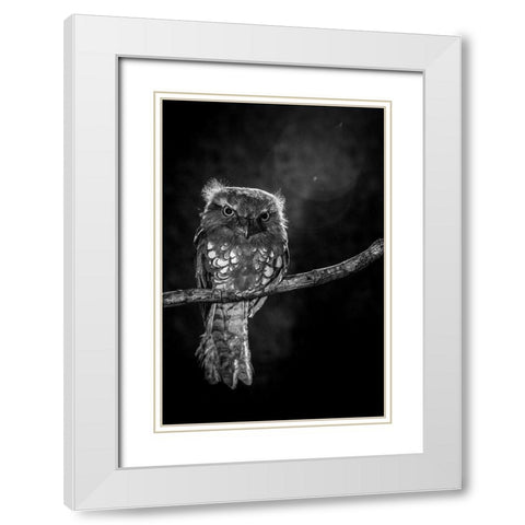 Alone in the night White Modern Wood Framed Art Print with Double Matting by Wilianto
