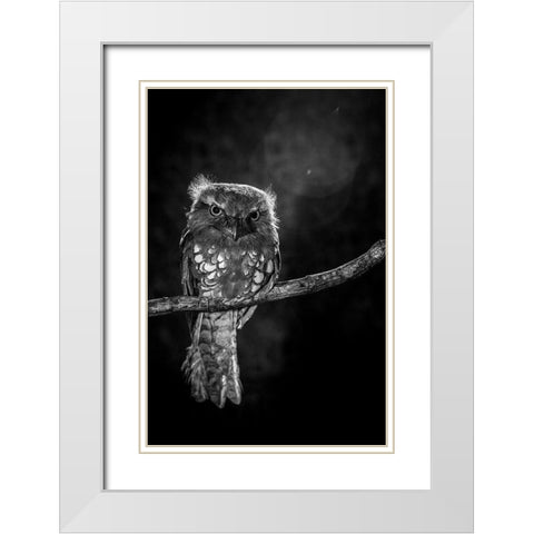 Alone in the night White Modern Wood Framed Art Print with Double Matting by Wilianto