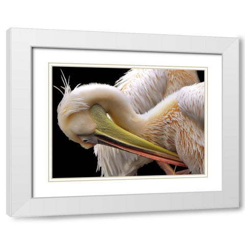 Toileting... White Modern Wood Framed Art Print with Double Matting by Dufour, Thierry