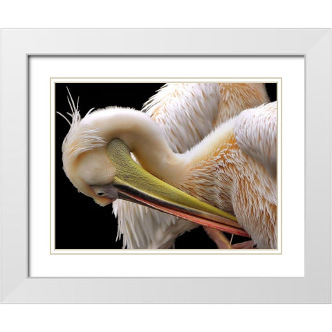 Toileting... White Modern Wood Framed Art Print with Double Matting by Dufour, Thierry