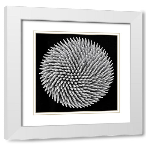 hypnosis White Modern Wood Framed Art Print with Double Matting by Toniolo, Giorgio