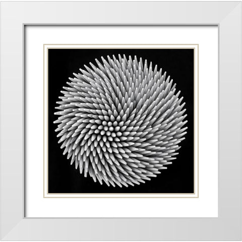 hypnosis White Modern Wood Framed Art Print with Double Matting by Toniolo, Giorgio