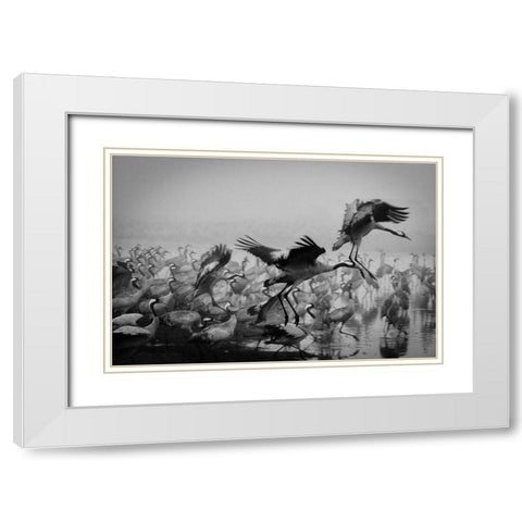 Trio White Modern Wood Framed Art Print with Double Matting by Meirovich, Ido