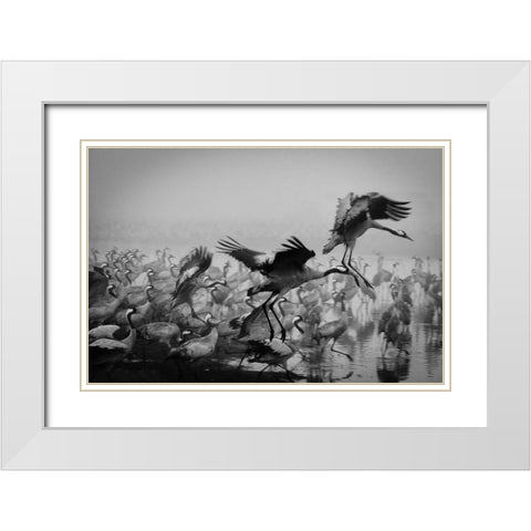 Trio White Modern Wood Framed Art Print with Double Matting by Meirovich, Ido