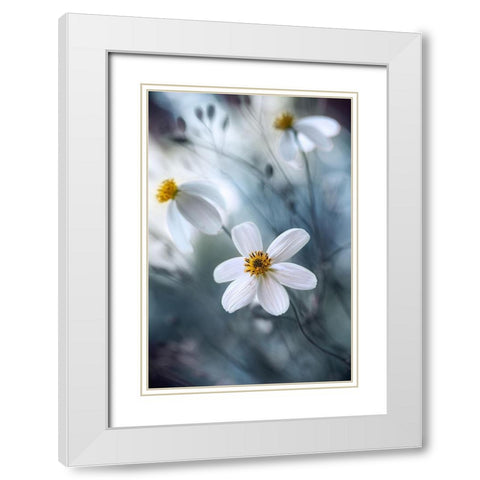 Cosmos White Modern Wood Framed Art Print with Double Matting by Disher, Mandy