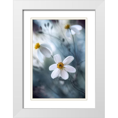 Cosmos White Modern Wood Framed Art Print with Double Matting by Disher, Mandy