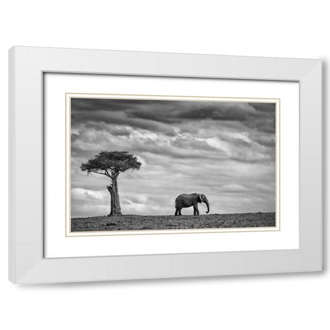 Elephant Landscape White Modern Wood Framed Art Print with Double Matting by Moreno, Mario