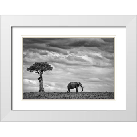 Elephant Landscape White Modern Wood Framed Art Print with Double Matting by Moreno, Mario