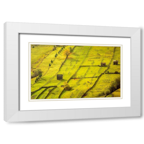 Geometric White Modern Wood Framed Art Print with Double Matting by Gyozo, Hamos