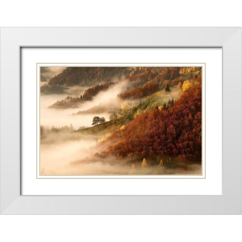 Novembers fog White Modern Wood Framed Art Print with Double Matting by Bor