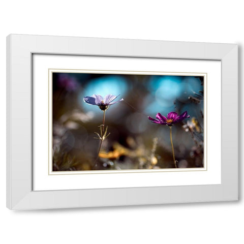 Le lien White Modern Wood Framed Art Print with Double Matting by Bravin, Fabien