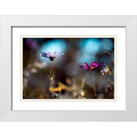 Le lien White Modern Wood Framed Art Print with Double Matting by Bravin, Fabien