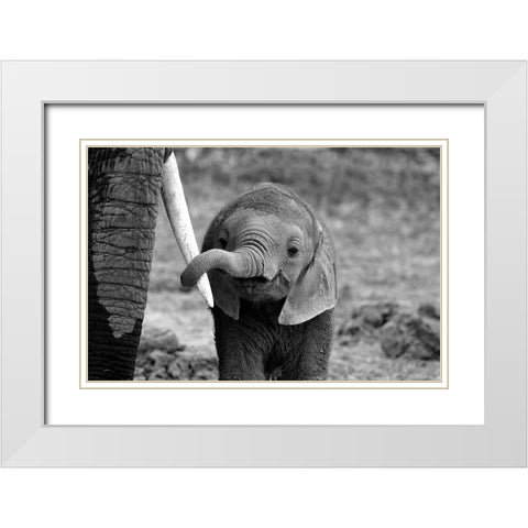 Close White Modern Wood Framed Art Print with Double Matting by Alicke, Bjoern