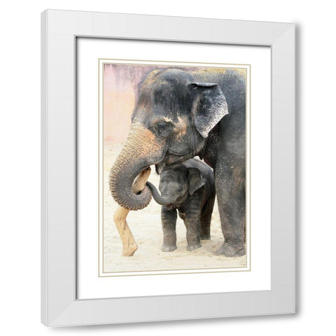 TWO White Modern Wood Framed Art Print with Double Matting by Wenner-Braun, Antje