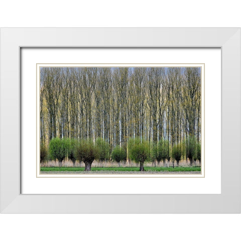 Layers White Modern Wood Framed Art Print with Double Matting by Van Maastricht, Henk