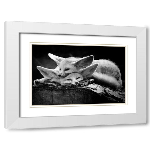 The happy couple White Modern Wood Framed Art Print with Double Matting by Ross Rossi, Ib