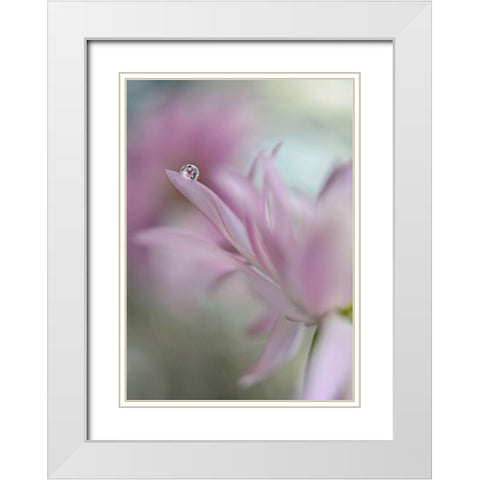 In pink delight White Modern Wood Framed Art Print with Double Matting by Westum, Heidi