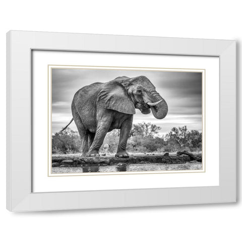 Standing Proud White Modern Wood Framed Art Print with Double Matting by Marx, Jaco