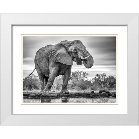 Standing Proud White Modern Wood Framed Art Print with Double Matting by Marx, Jaco