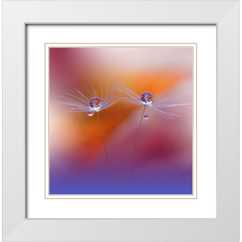 Two Worlds White Modern Wood Framed Art Print with Double Matting by Nan, Juliana