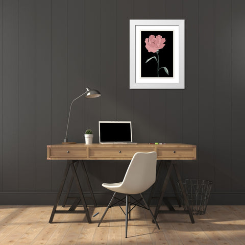 Peony 01 White Modern Wood Framed Art Print with Double Matting by Artographie Studio