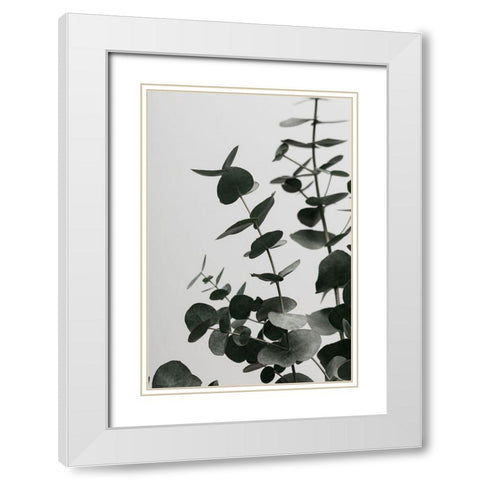 Eucalyptus Natural 08 White Modern Wood Framed Art Print with Double Matting by Artographie Studio