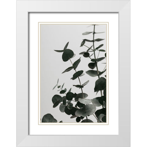 Eucalyptus Natural 08 White Modern Wood Framed Art Print with Double Matting by Artographie Studio