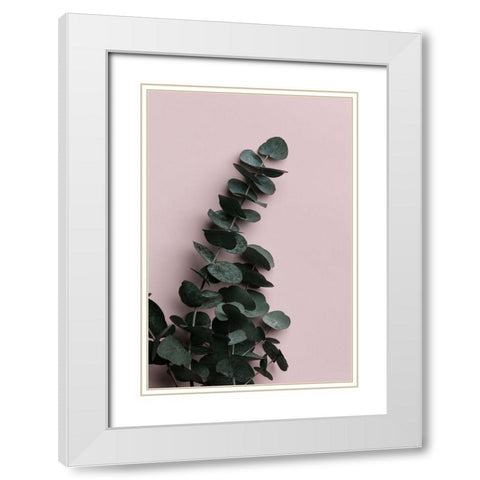 Eucalyptus Pink No02 White Modern Wood Framed Art Print with Double Matting by Artographie Studio