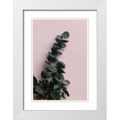 Eucalyptus Pink No02 White Modern Wood Framed Art Print with Double Matting by Artographie Studio