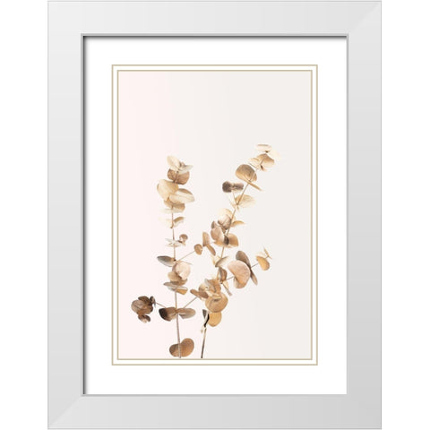 Eucalyptus Gold No 02 White Modern Wood Framed Art Print with Double Matting by Artographie Studio