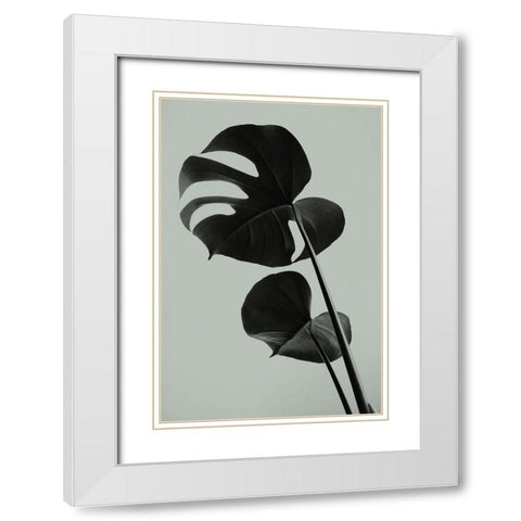 Monstera Teal 01 White Modern Wood Framed Art Print with Double Matting by Artographie Studio