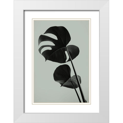 Monstera Teal 01 White Modern Wood Framed Art Print with Double Matting by Artographie Studio