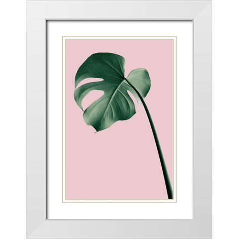 Monstera Pink No 05 White Modern Wood Framed Art Print with Double Matting by Artographie Studio
